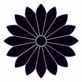 菊の紋所の一つ「十六鬼菊」