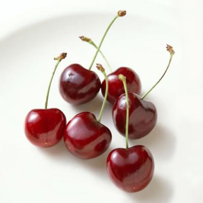 アメリカンチェリー American Cherry の意味 Goo国語辞書