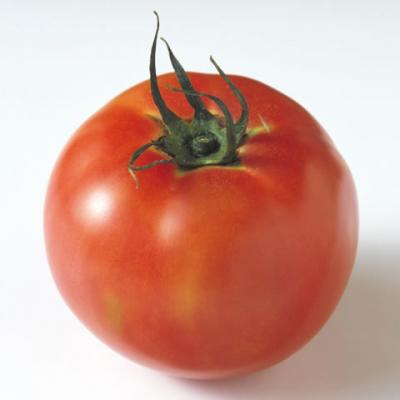Tomato トマト の意味 Goo国語辞書
