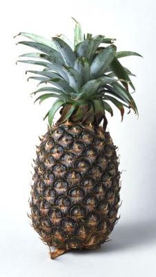Pineapple パイナップル の意味 Goo国語辞書