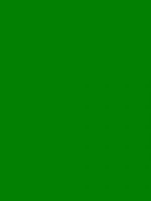 Green グリーン の意味 Goo国語辞書