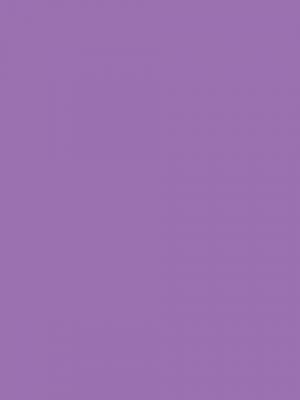 Purple パープル の意味 Goo国語辞書