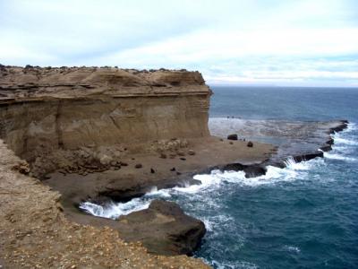 バルデス半島 バルデスはんとう の意味 Goo国語辞書