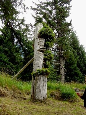 トーテムポール Totem Pole の意味 Goo国語辞書