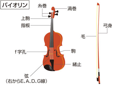 バイオリン（violin）とは？ 意味・読み方・使い方をわかりやすく解説