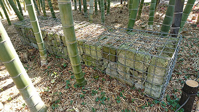 蛇籠(1)