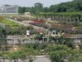 調布市にある神代植物公園