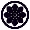 菊の紋所の一つ「木戸菊」