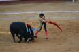 スペインの闘牛