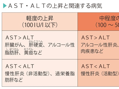 AST・ALT・γ-GTP検査の目的