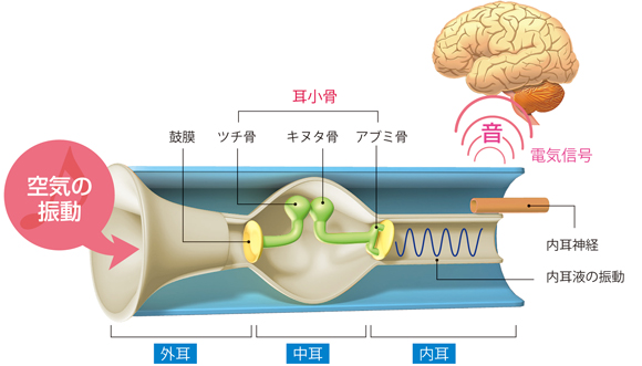 図解-電気信号に変換される音