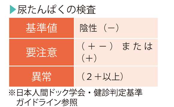 図解-尿たんぱくの検査