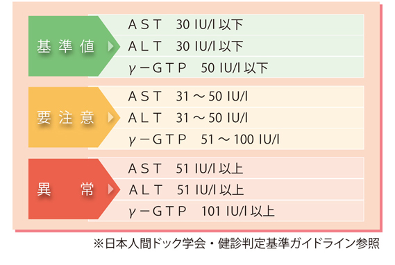 図解-AST・ALT・γ-GTPの基準値